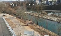 Blick auf Neckar